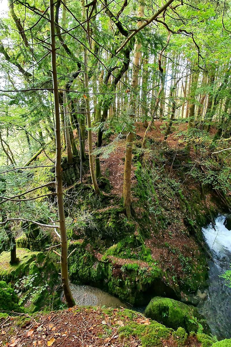 Ffynone Waterfall — Place photograph (1 of 3)