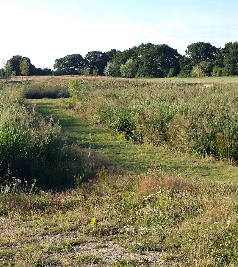 Firs Farm Wetlands Park & Playing Fields — Place photograph (1 of 3)