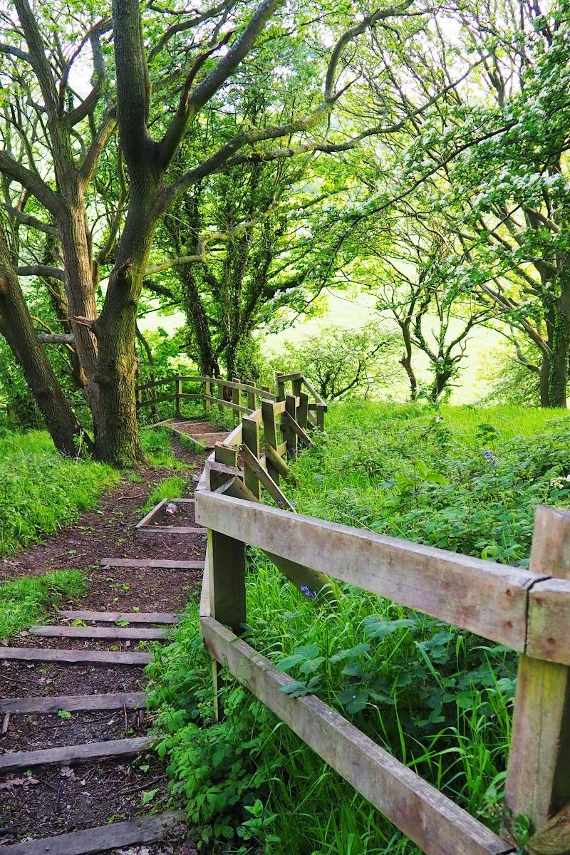 Fishwick Local Nature Reserve — Place photograph