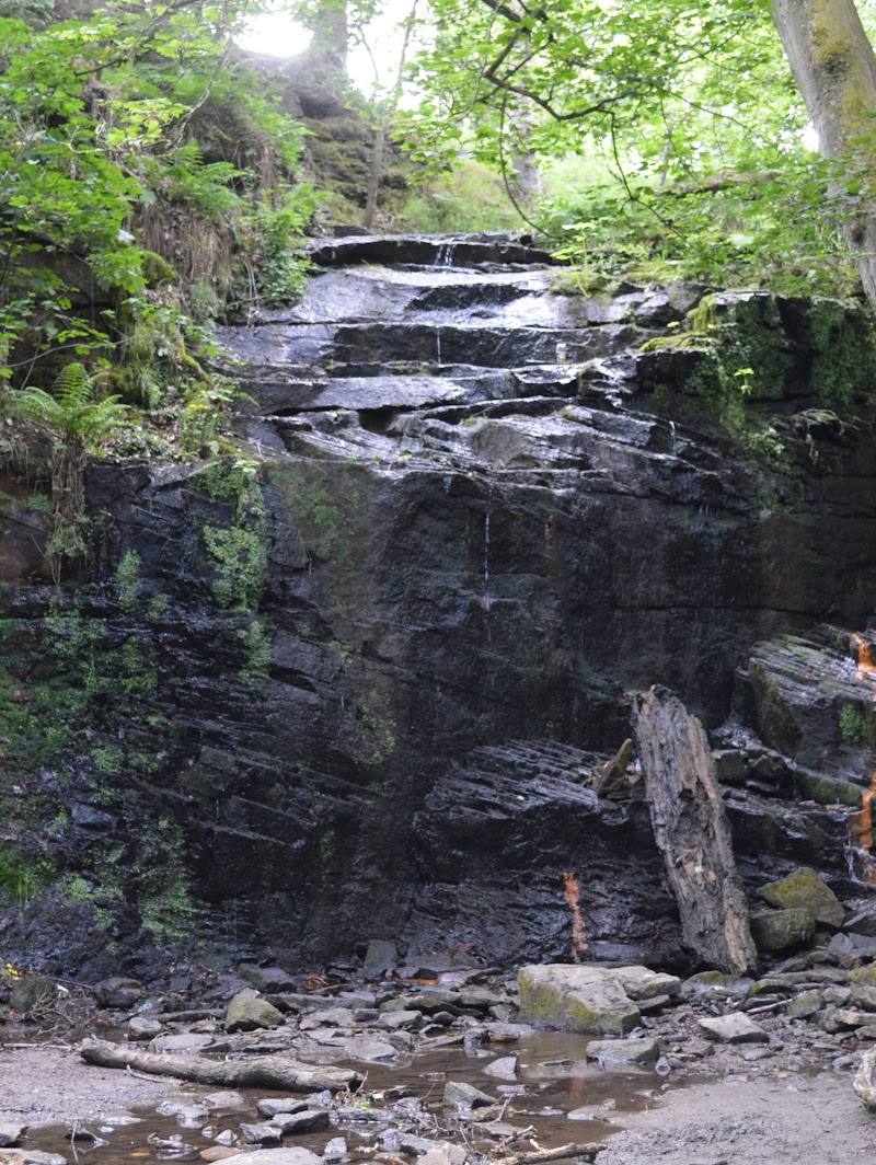 Folly Dolly Falls — Place photograph