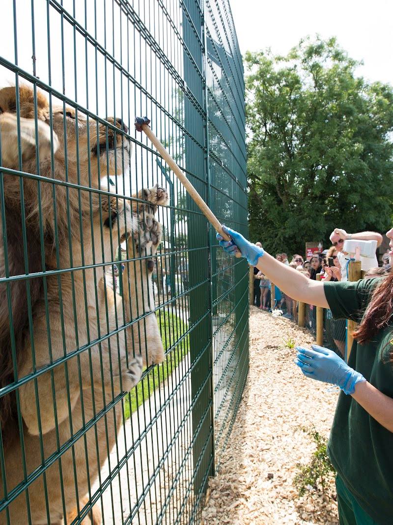 Folly Farm Adventure Park and Zoo — Place photograph (3 of 3)