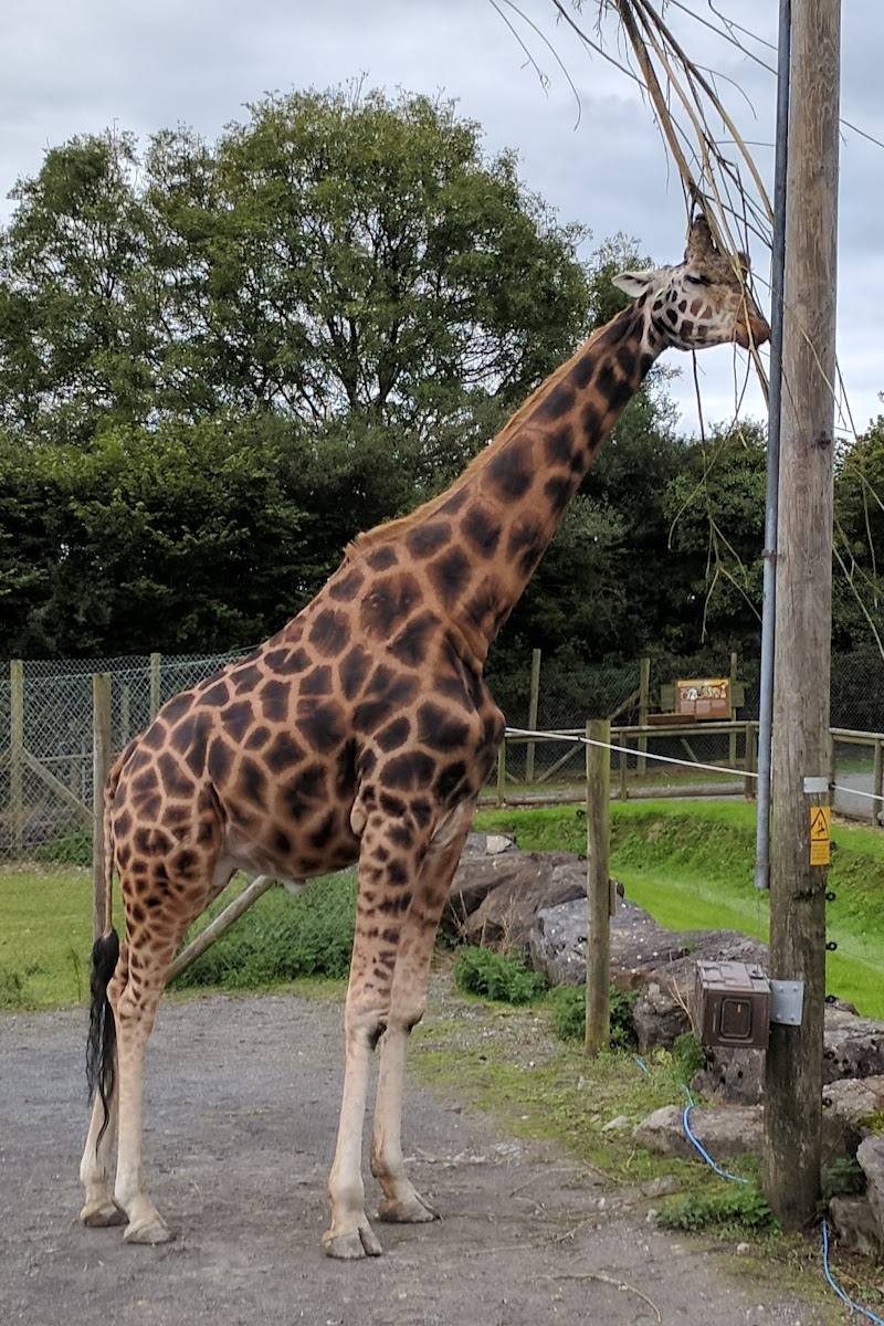 Folly Farm Adventure Park and Zoo — Place photograph (2 of 3)