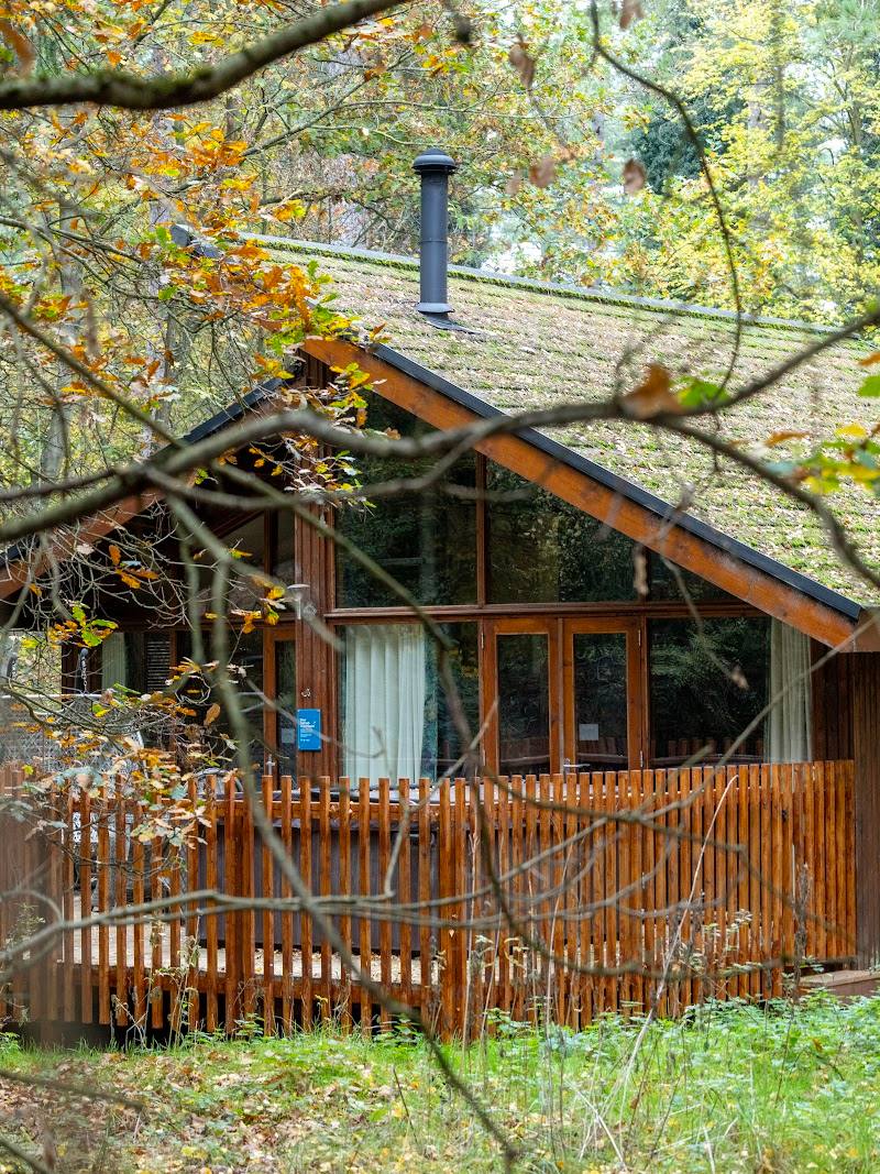 Forest Holidays Thorpe Forest