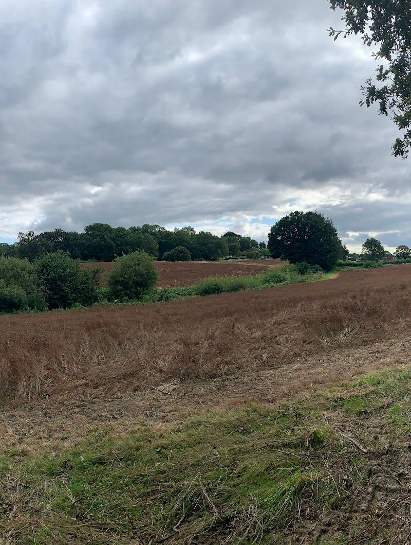Forest Way Country Park
