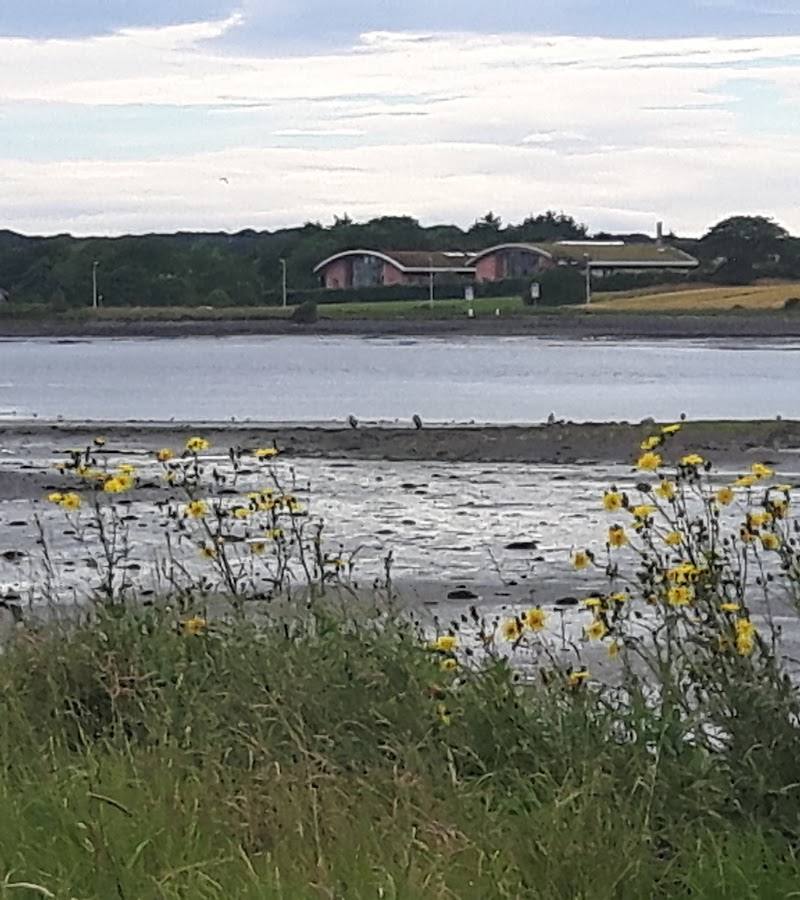 Forvie National Nature Reserve (Waterside car park) — Place photograph