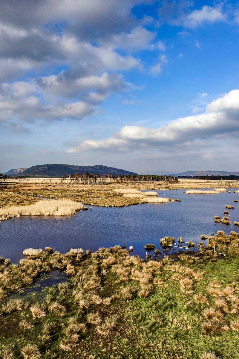 Foulshaw Moss Nature Reserve — Place photograph