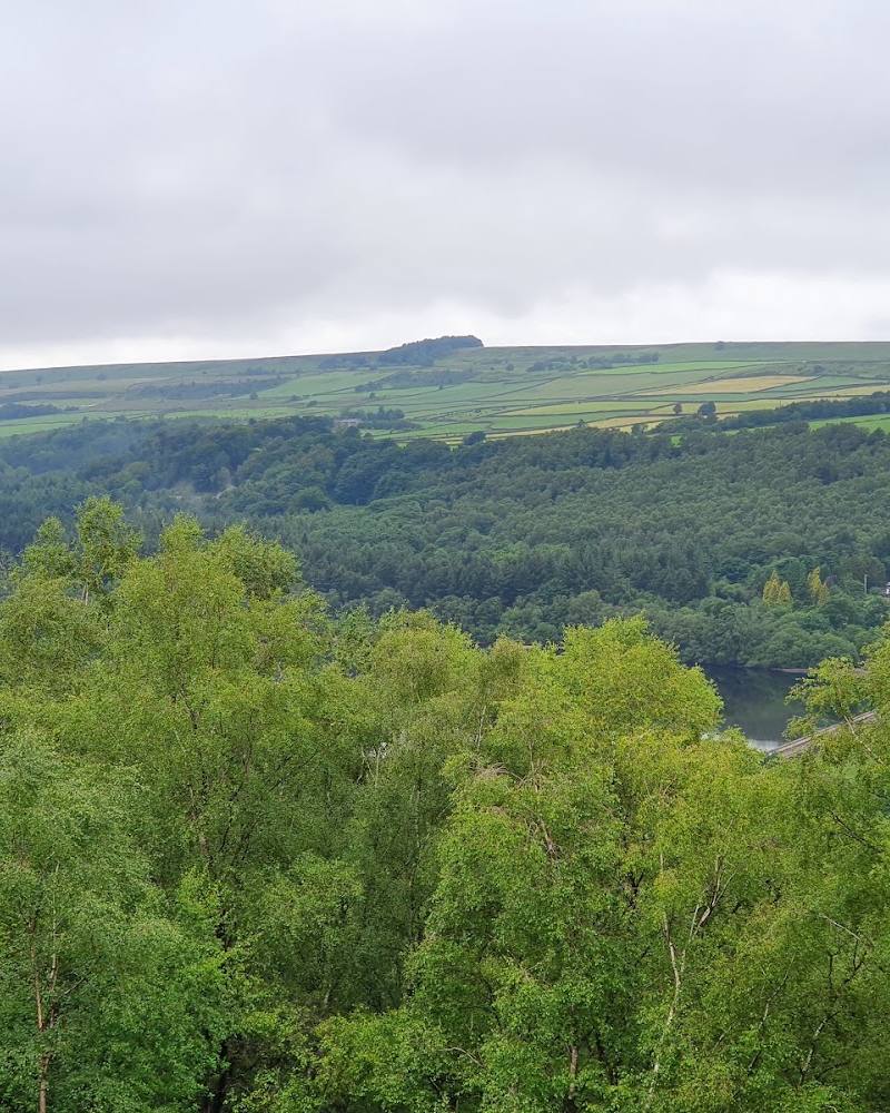 Fox Hagg Nature Reserve — Source image