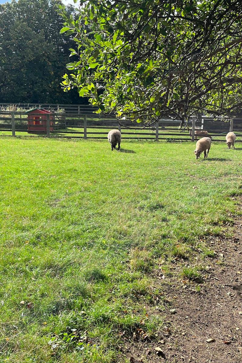 Freightliners Farm — Place photograph (2 of 3)