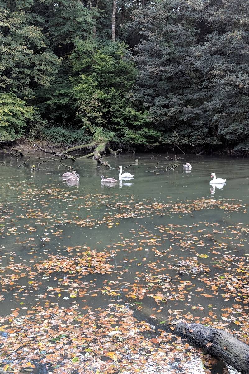 Frenchman's Creek