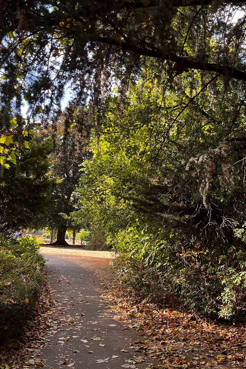 Brookmill Park — Place photograph (3 of 3)