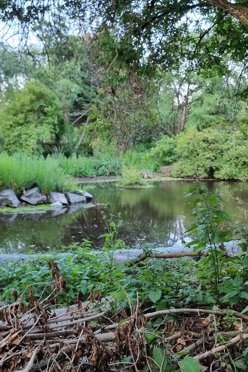 Brookmill Park — Place photograph