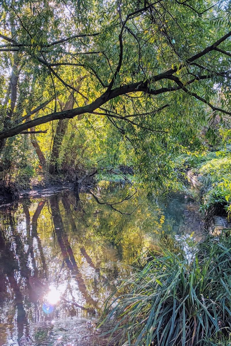 Brookmill Park — Place photograph (2 of 3)
