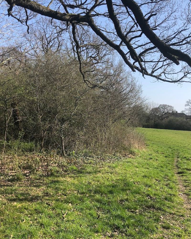 Fryent Country Park — Source image