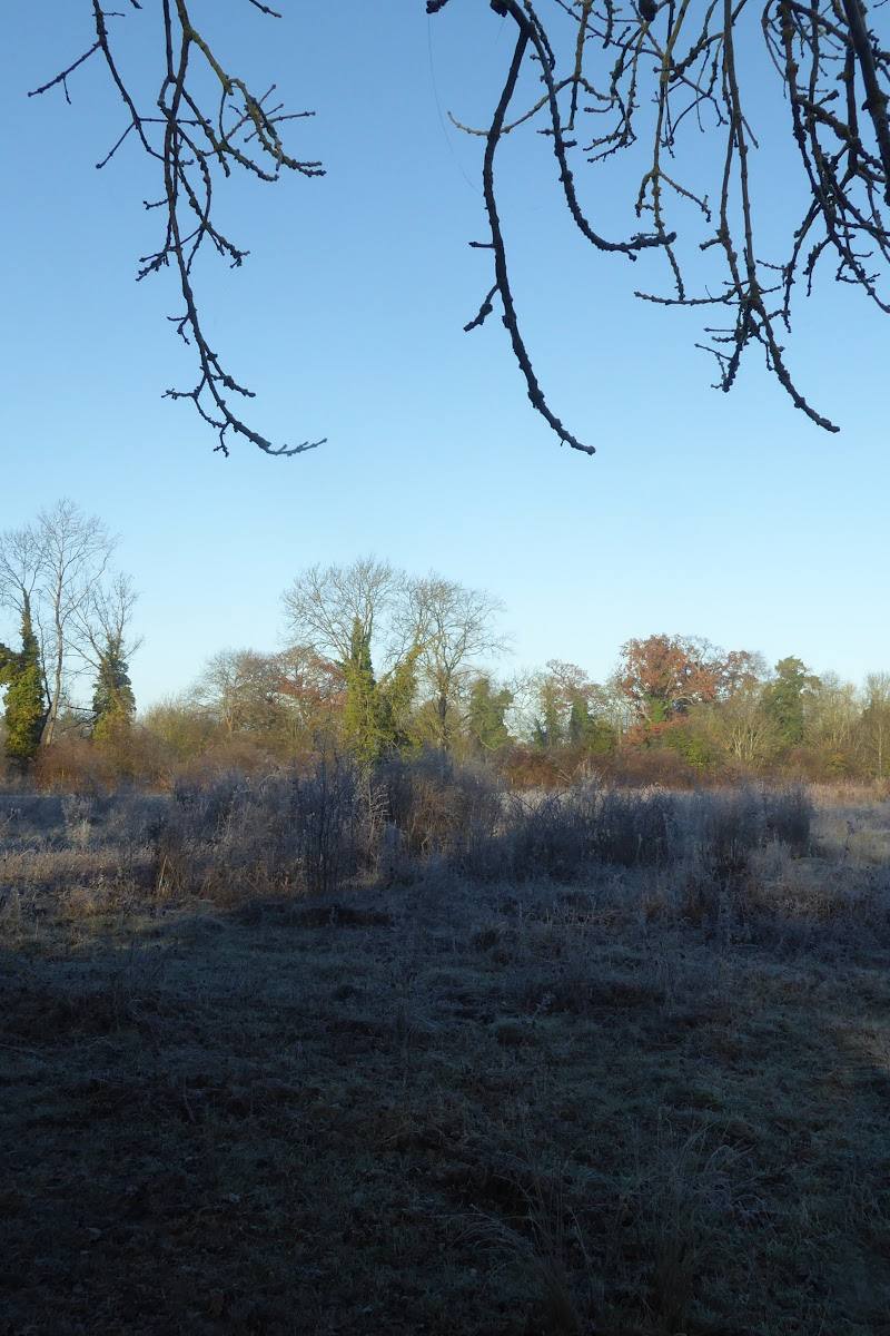 Fulbourn Fen — Place photograph