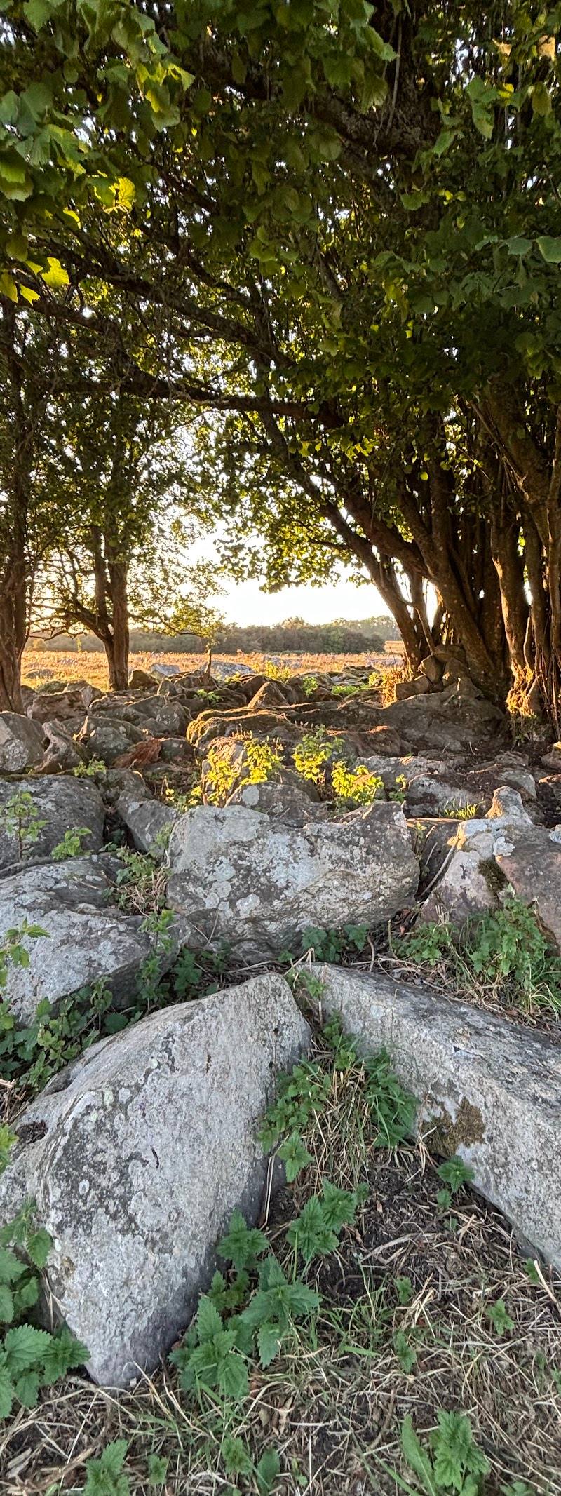 Fyfield Down — Place photograph (3 of 3)