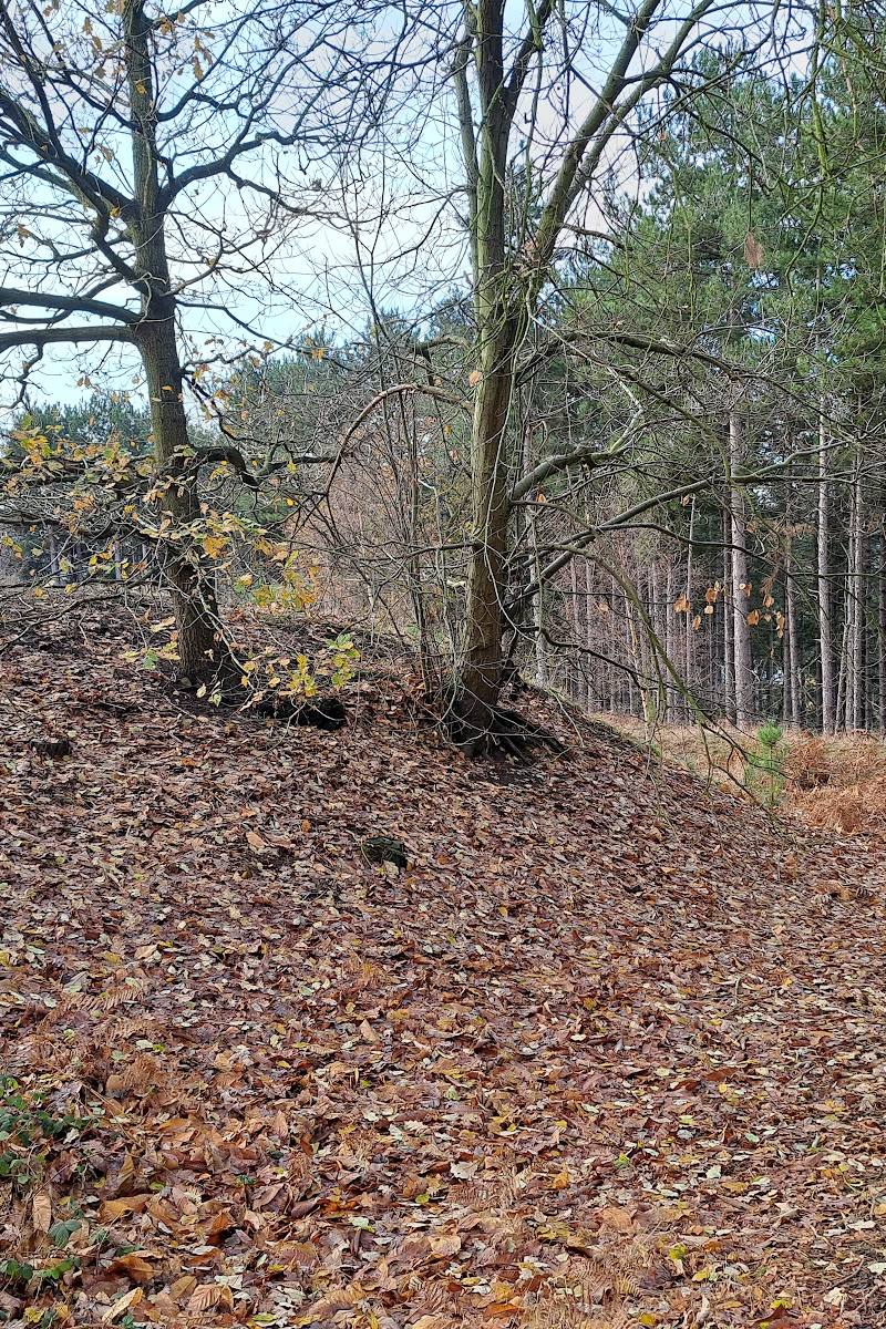 Galley Hill Hillfort — Place photograph