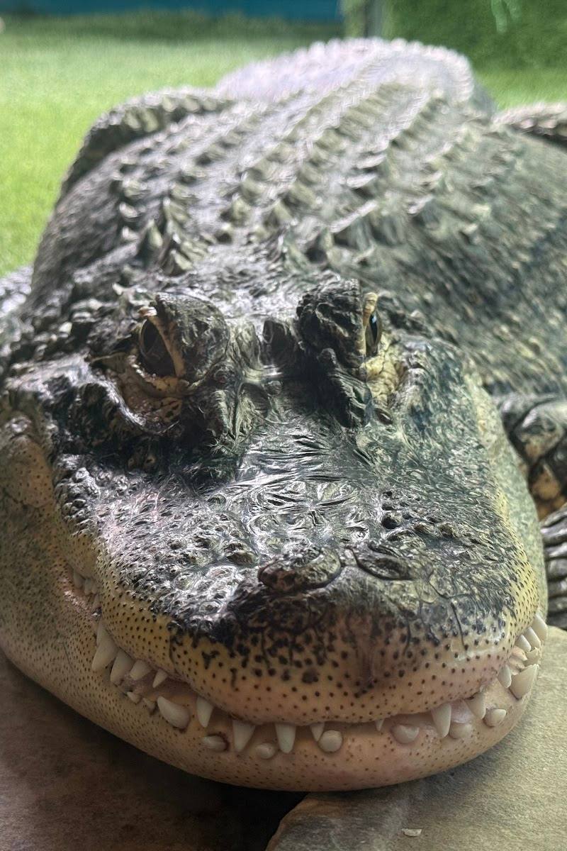 Get to Know Animals CIC — Place photograph (1 of 3)