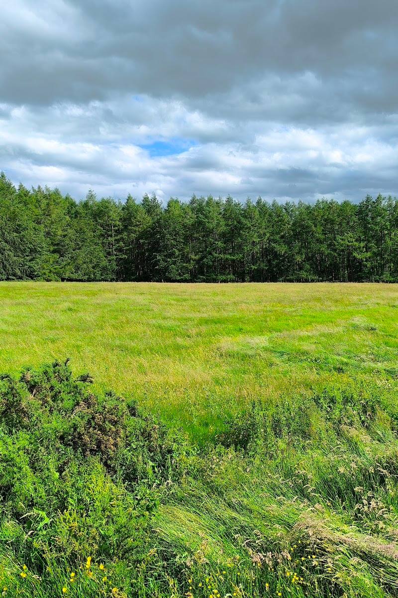Gight Wood — Place photograph