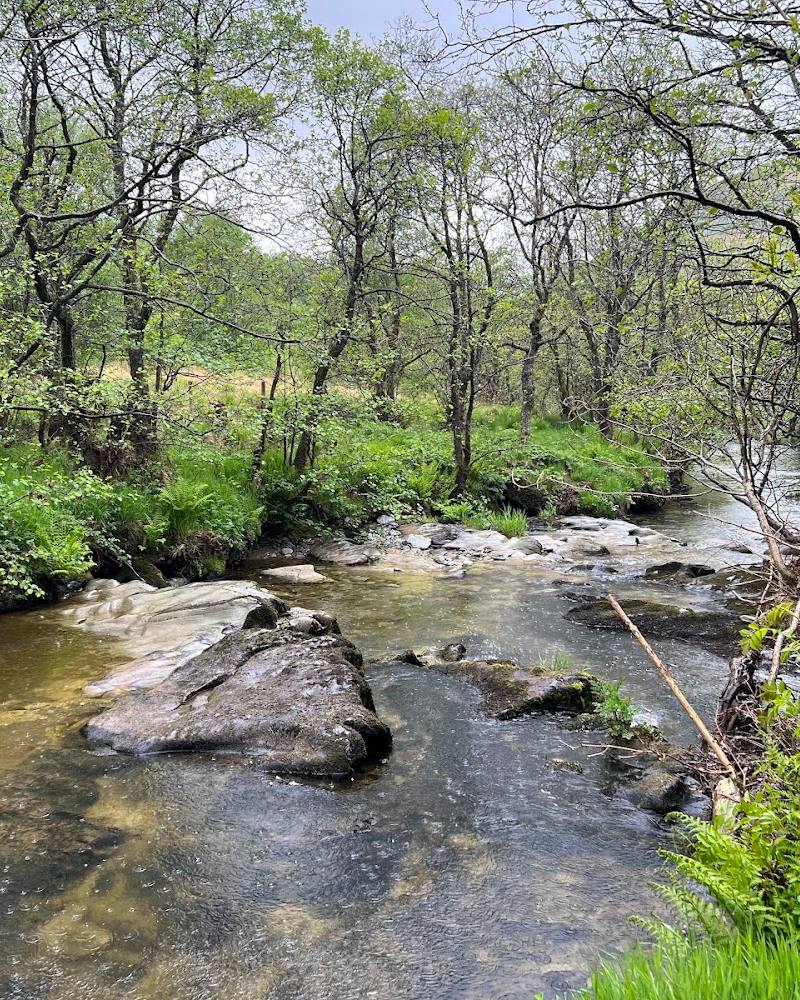 Gilfach Nature Reserve — Source image