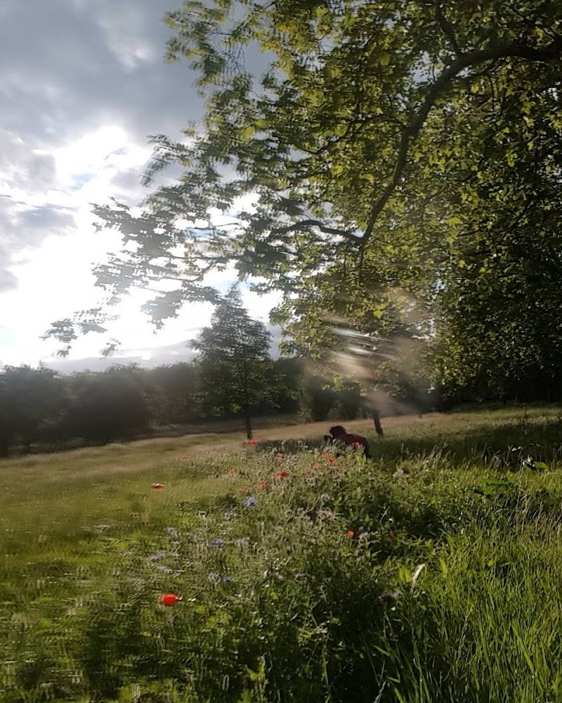 Gladstone Park — Source image