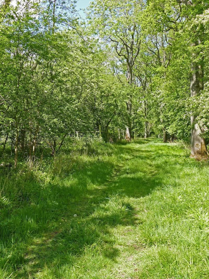 Glapthorn Cow Pastures — Place photograph