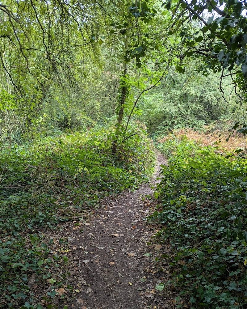 Glebelands — Source image