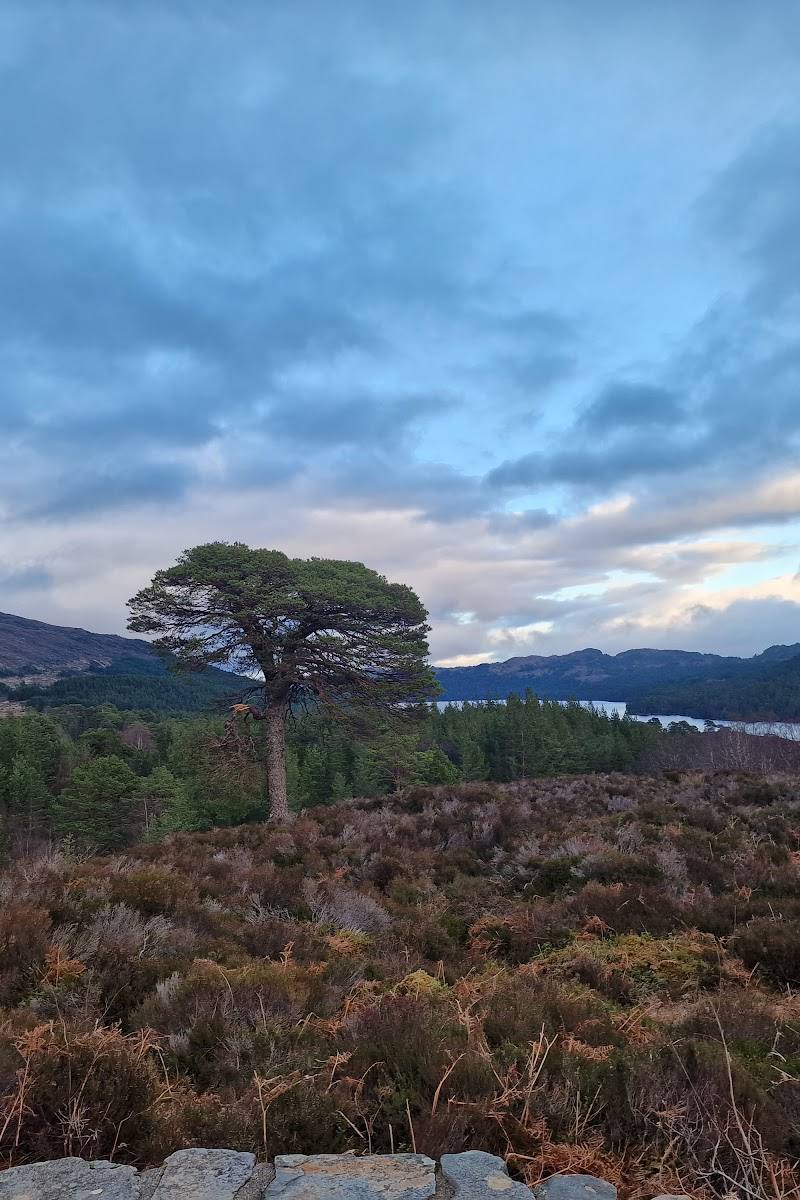 Glen Affric View Point — Place photograph (2 of 3)