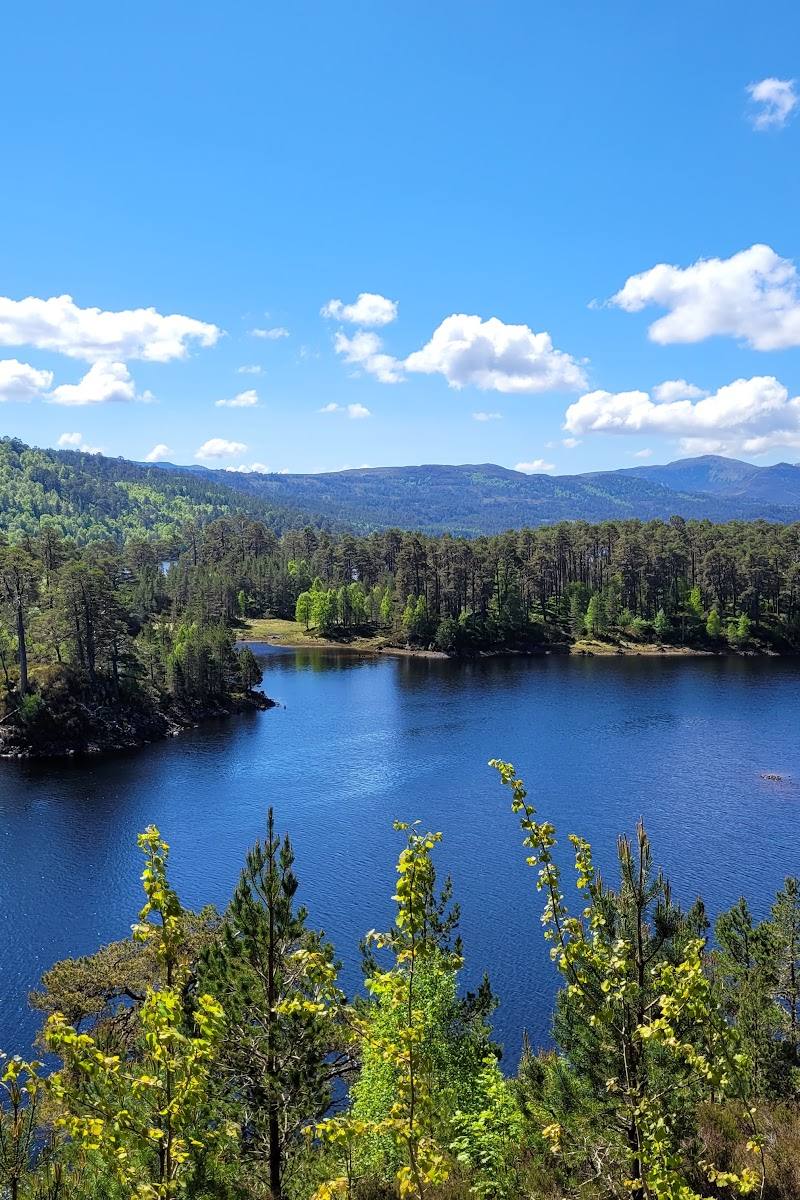 Glen Affric View Point — Place photograph (3 of 3)