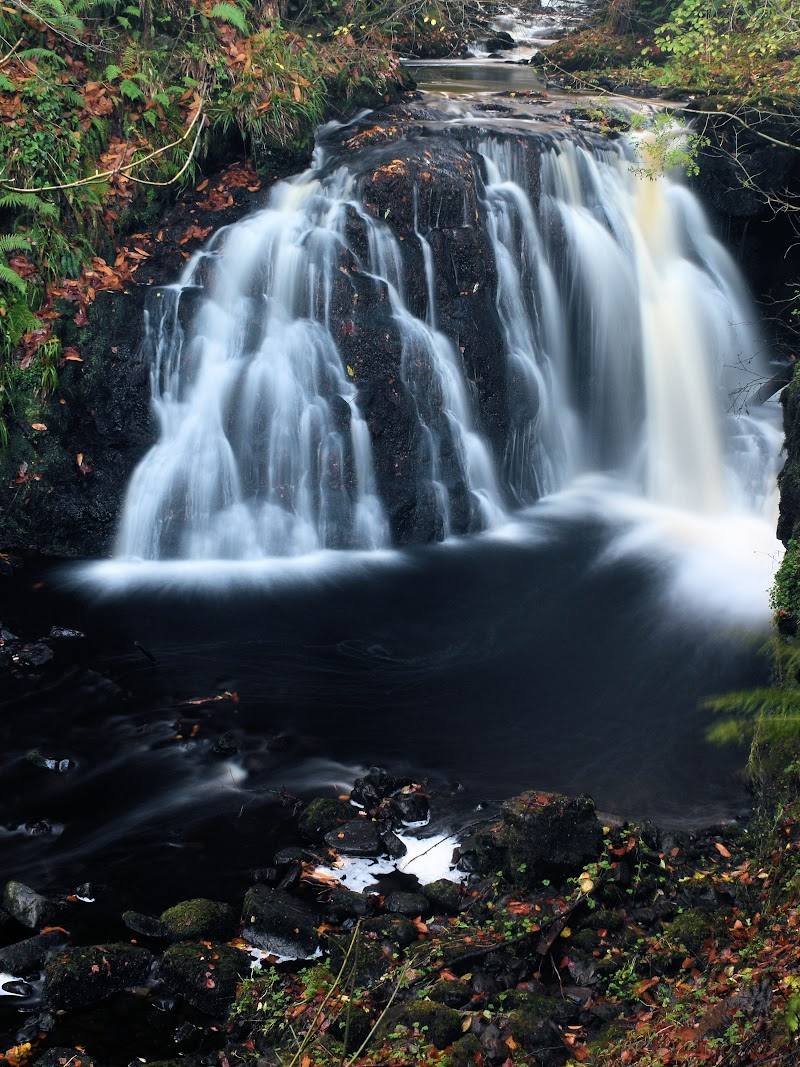 Glenariff Forest