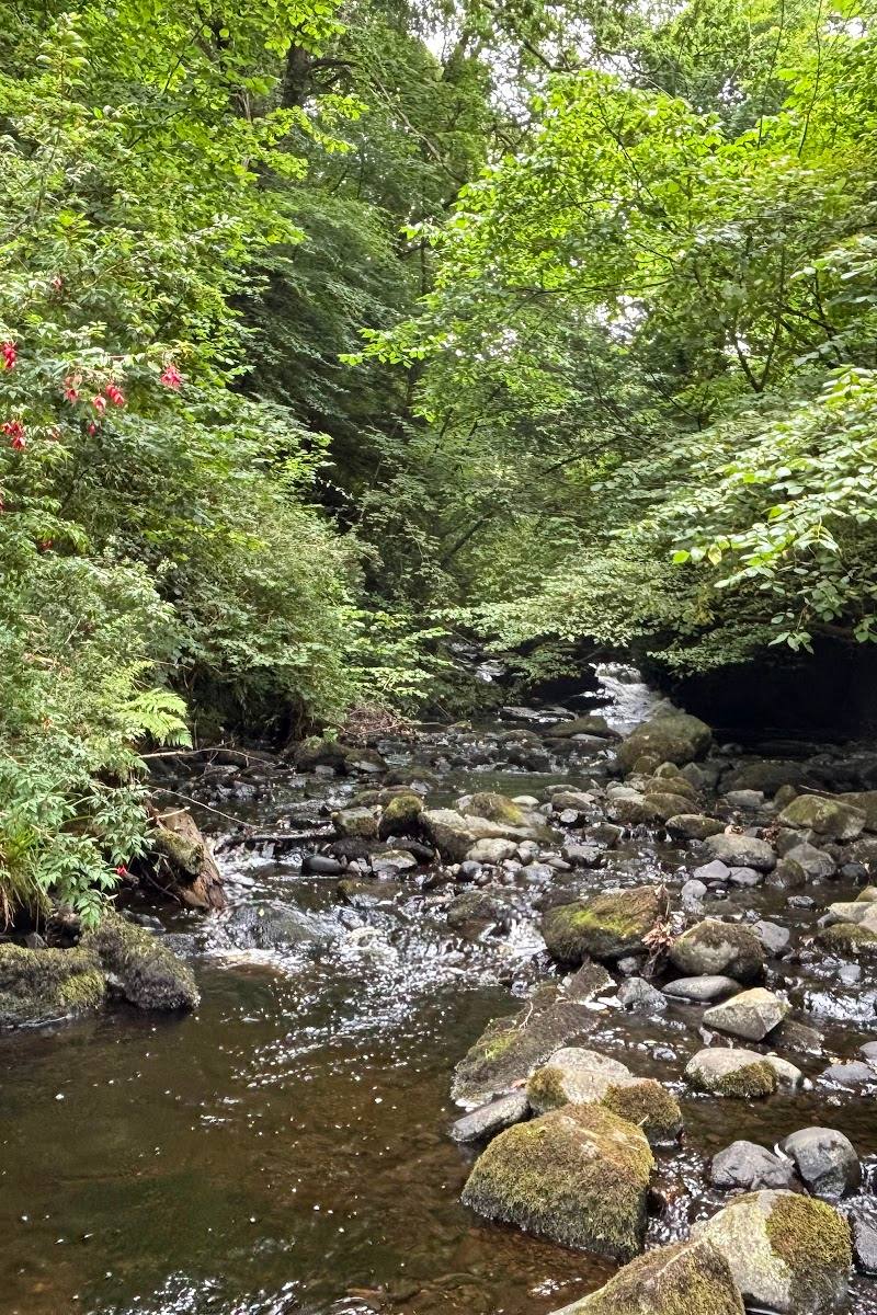 Glenariff Forest Park