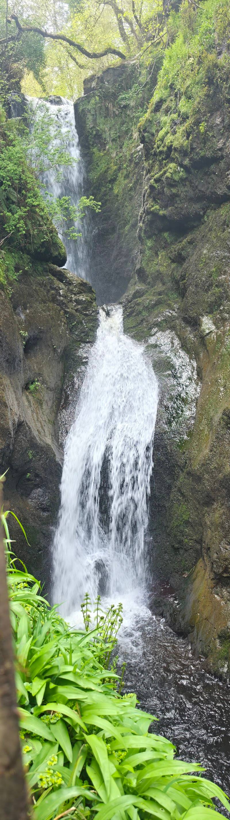 Glenariff Forest Park & Waterfall