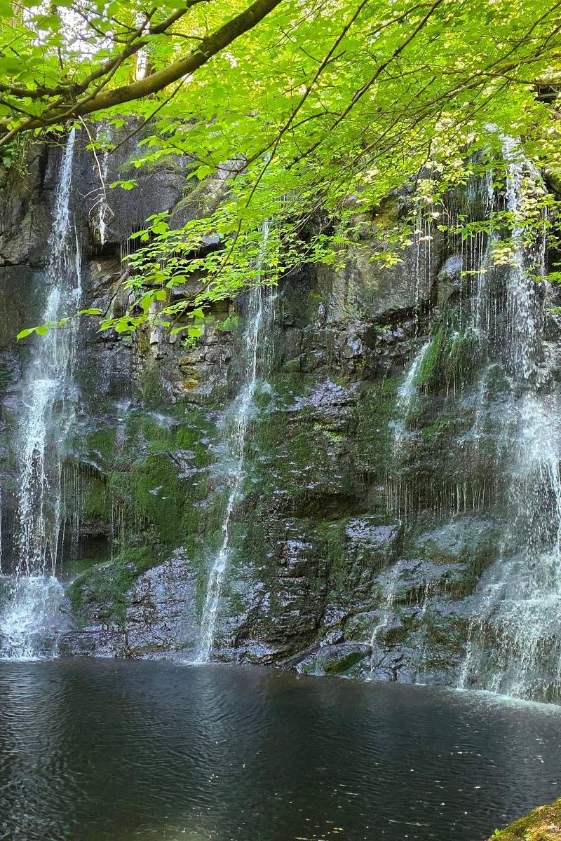 Glenariff Waterfalls & Forest Park