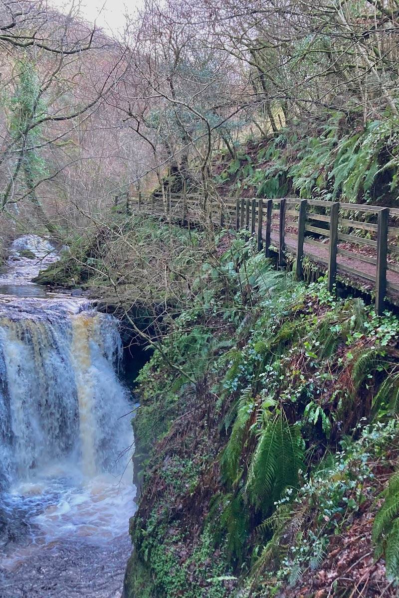 Glenariff Waterfalls & Forest Park