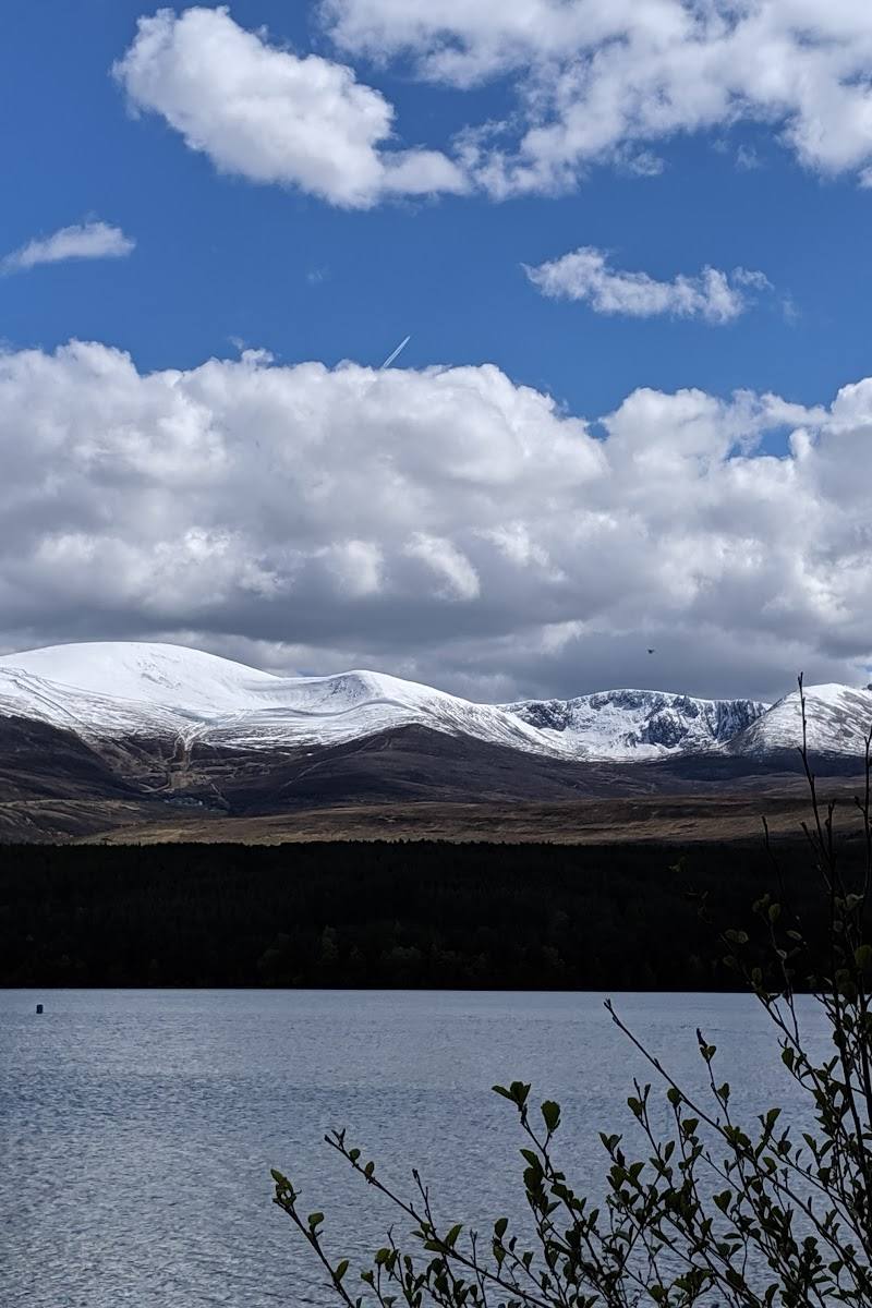 Glenmore Forest Park
