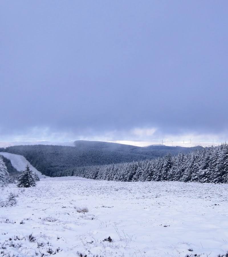Glentress Forest — Place photograph (2 of 3)