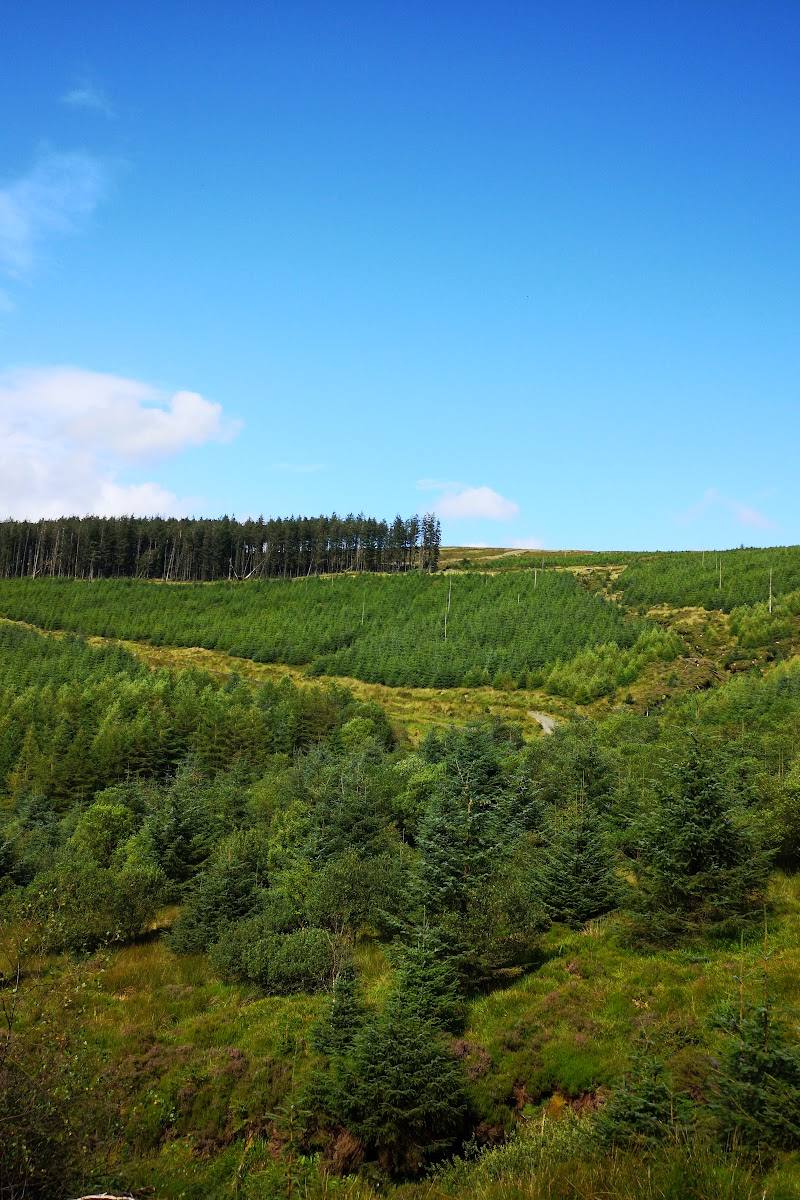 Gortin Glen Forest Park — Place photograph