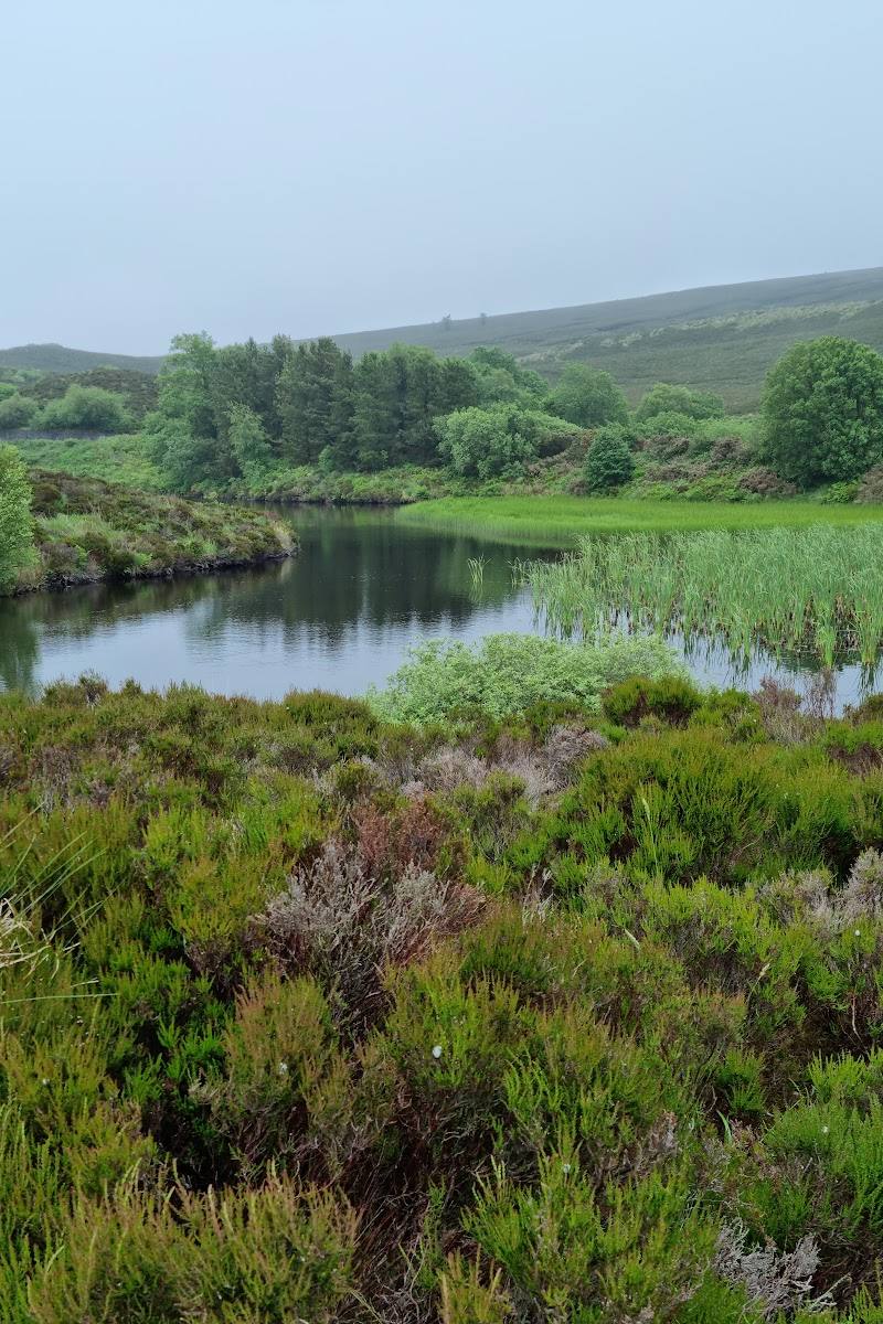 Gortin Glen Forest Park