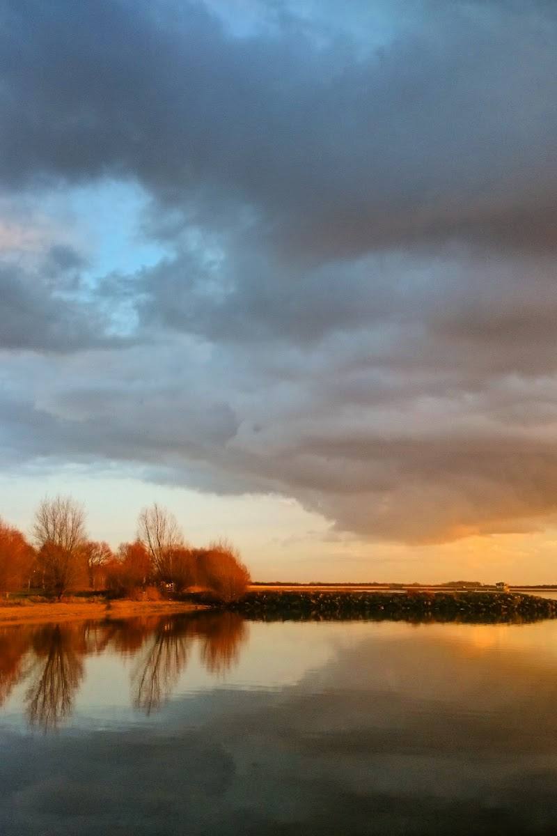 Grafham Water