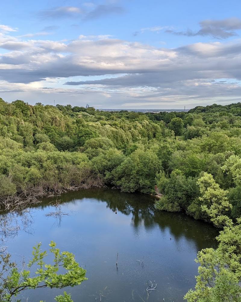 Grays Chalk Quarry Nature Reserve — Source image