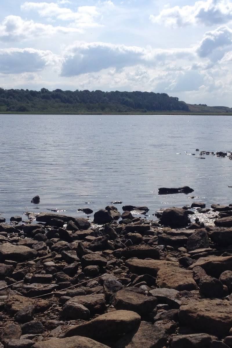Greenlee Lough — Place photograph