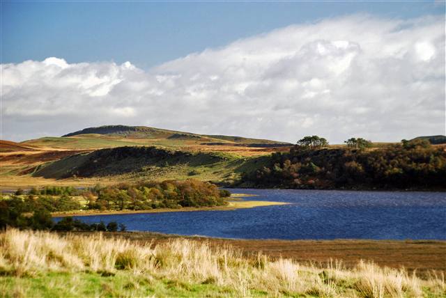 Greenlee Lough