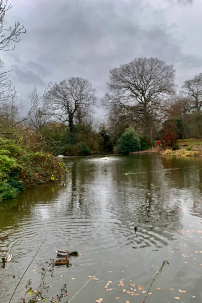 Greenwich Park Pond — Place photograph