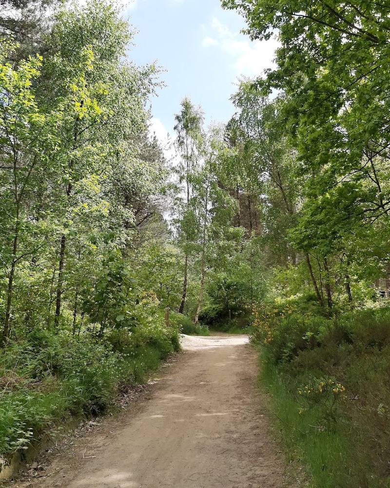 Greno Woods Nature Reserve — Source image