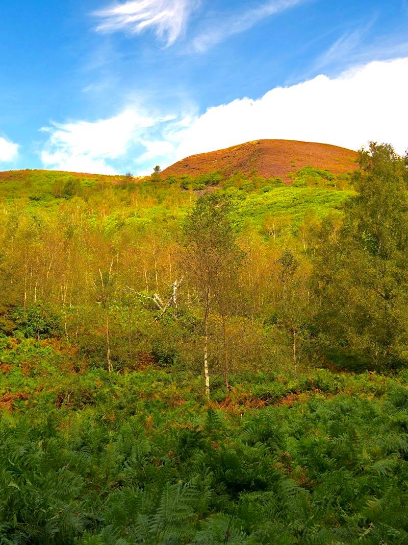 Grizedale Reservoir — Place photograph