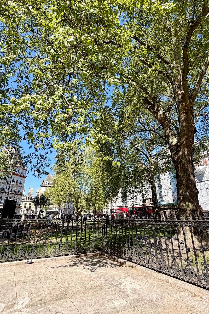 Grosvenor Gardens Shell Hut — Place photograph (3 of 3)