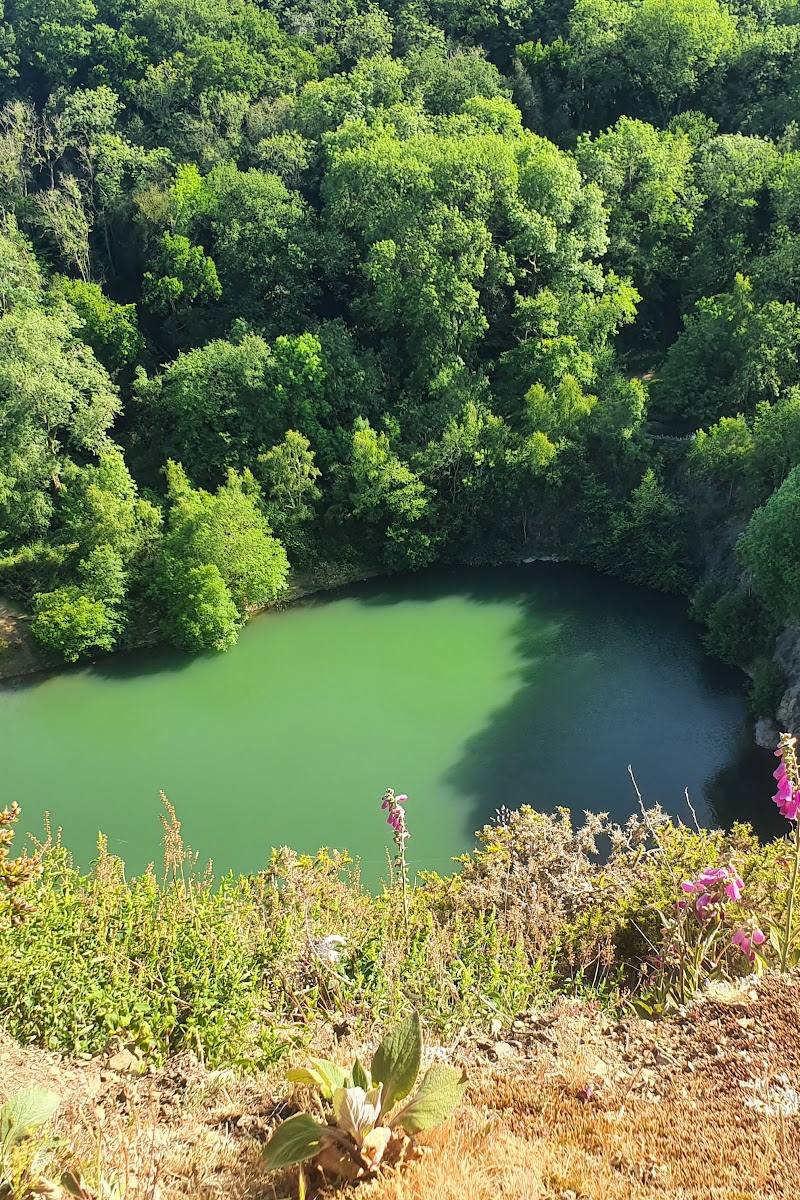 Gullet Quarry