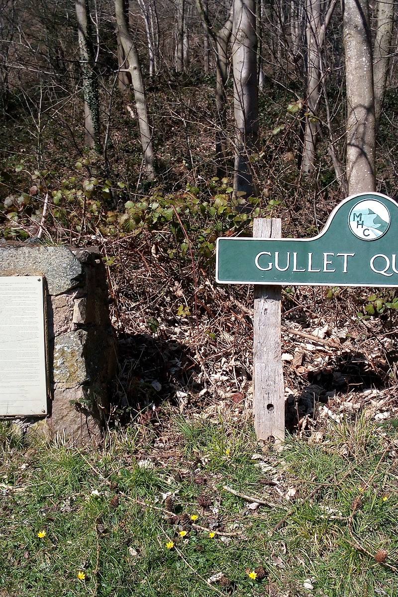 Gullet Quarry