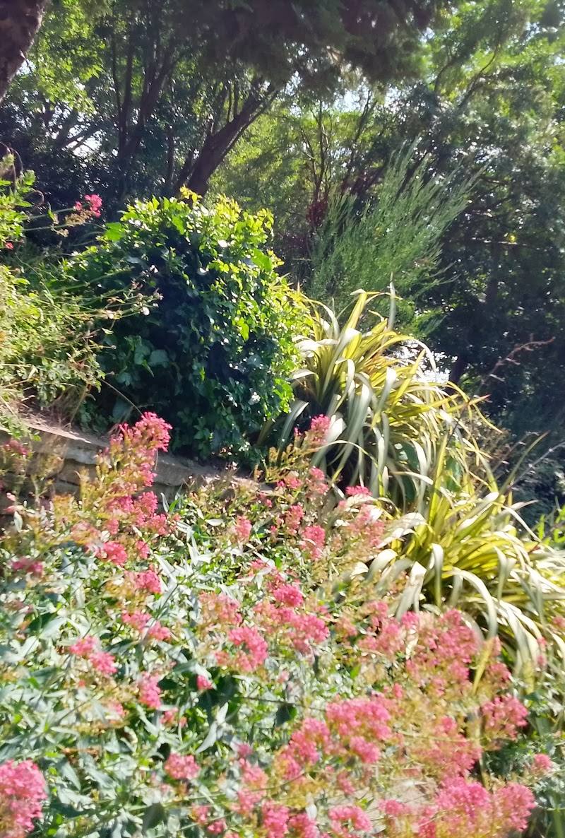 Gwendwr Gardens