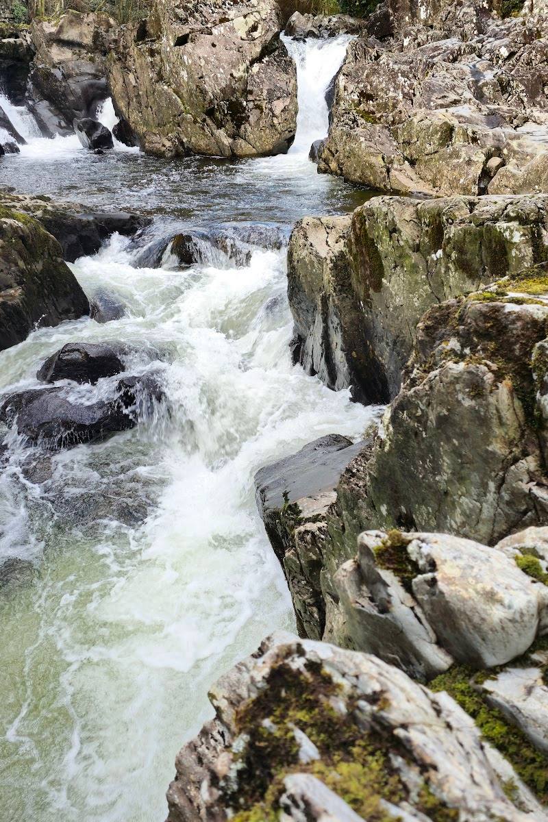 Gwydir Forest Park — Place photograph (3 of 3)