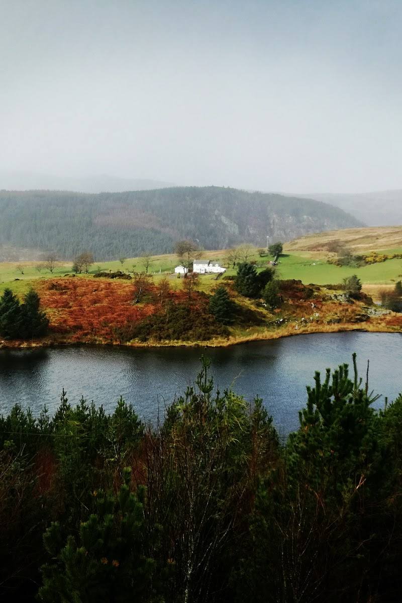 Gwydir Forest Park — Place photograph (2 of 3)